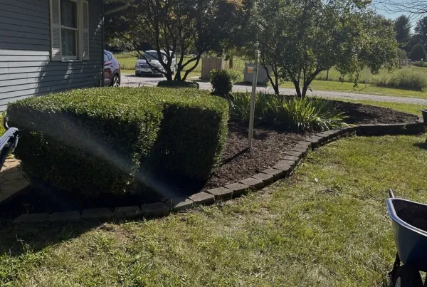Landscaping
